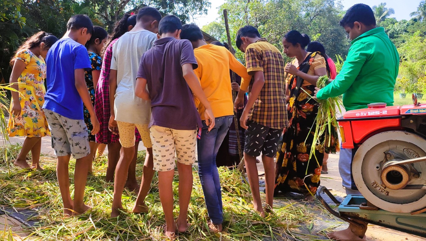 මයුරාවතියේ රන් අස්වනු මංගල්‍යය
