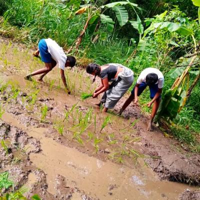 0dbe6451 0d4e 4393 A5e1 103f4dce04b2