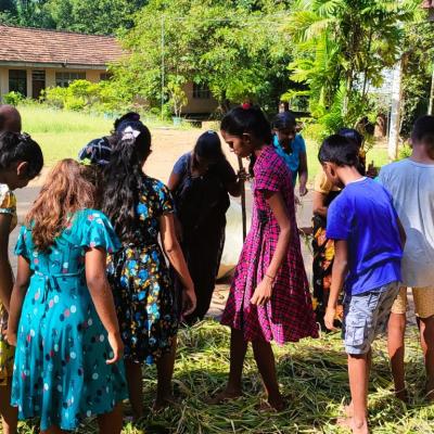 අස්වනු නෙළීම