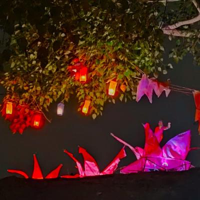 වෙසක් පහන් කූඩු තරඟය